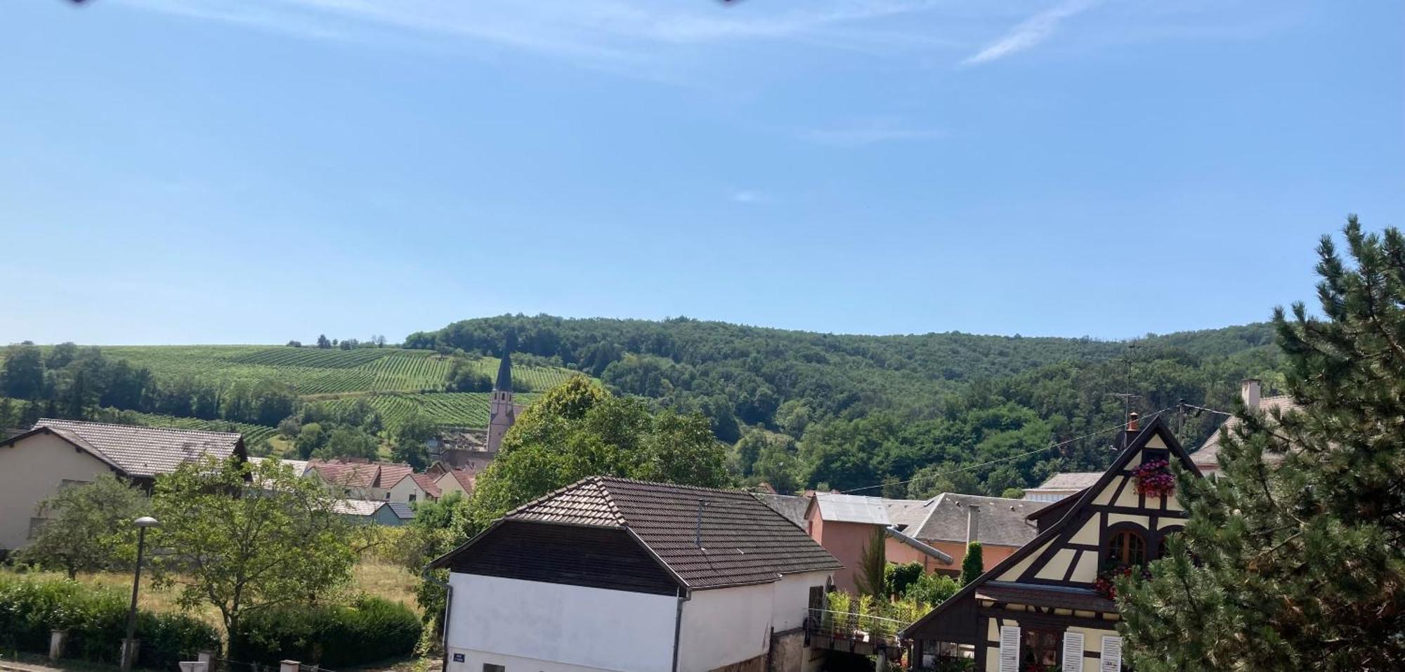 La Bonneterie Hotell Andlau-au-Val Exteriör bild