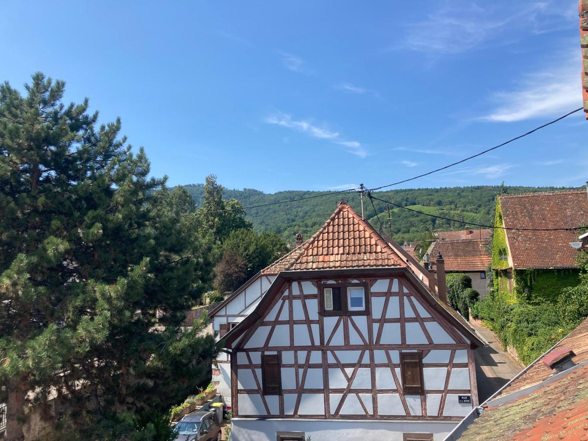 La Bonneterie Hotell Andlau-au-Val Exteriör bild